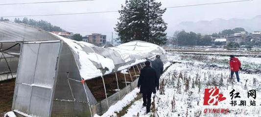 祁阳:20个农业生产工作组迅速开展灾情核查和指导抗灾救灾