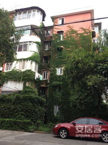 上海南方新村 实景图 37 上海安居客