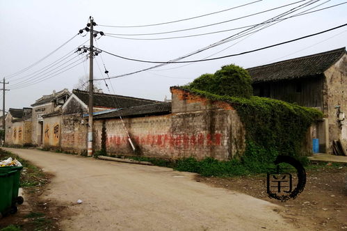 浙 天台 玉湖七里庙