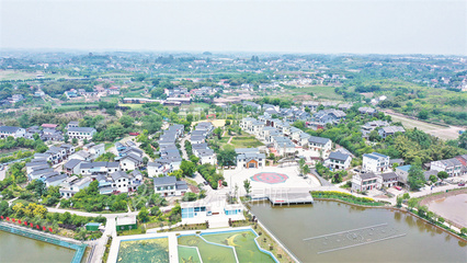 行走乡村看内江|从名不见经传到家喻户晓!尚腾新村是这样炼成“明星”的