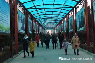 三八妇女节 佳丽10元畅游山西振兴新村五大景点