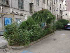 开发新村图片相册,上海开发新村实景图 室外图 小区配套图