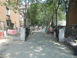 七里新村租房指南 宜居之选与生活体验