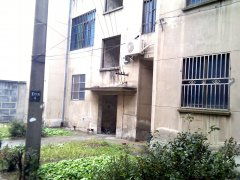 苏州运河新村与七里新村实景图集 室外环境与小区配套设施一览