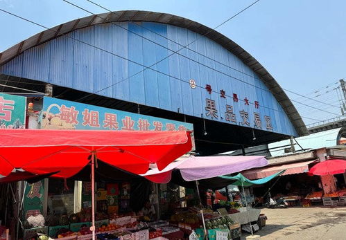 七里堡市场转型启新篇 环境提升与招商并举，七里新村迎发展机遇