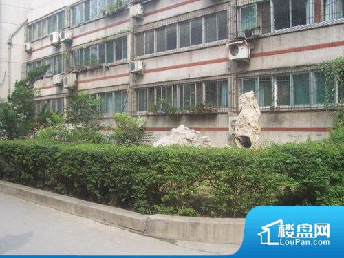 济南和平新村小区实景图